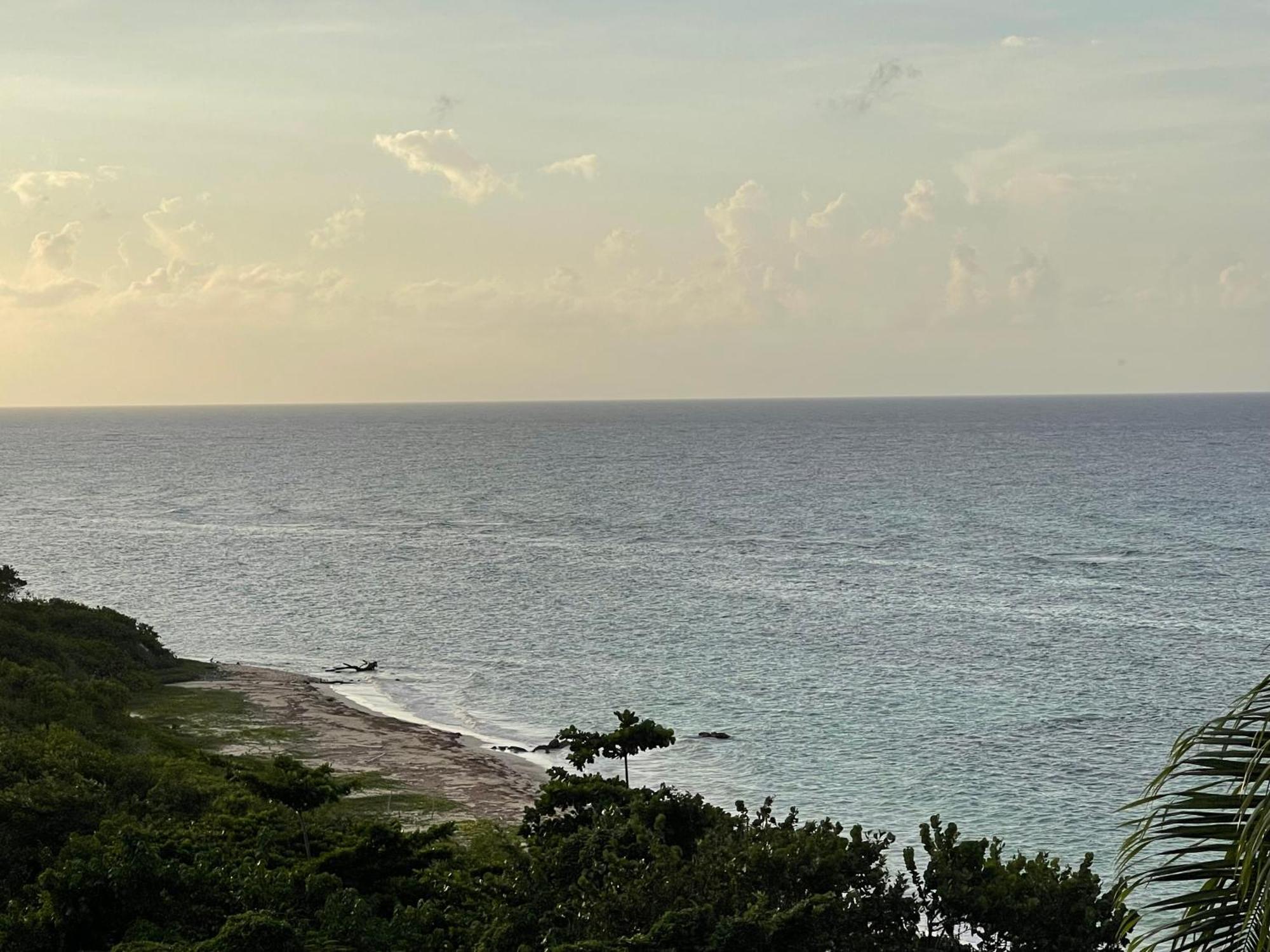 Marriott Seacastles E22, Montego Bay Aparthotel Εξωτερικό φωτογραφία